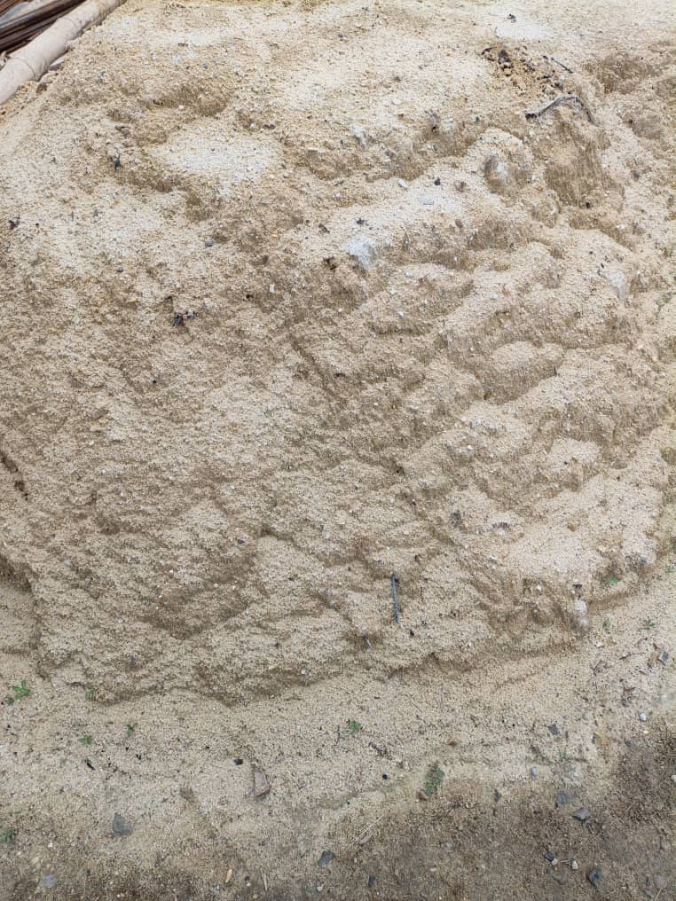 Areia